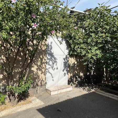 Apartment In The City Center With The Garden Γιερεβάν Εξωτερικό φωτογραφία